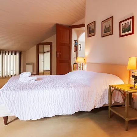 Villa Between Pines 8 People Pereire Arcachon