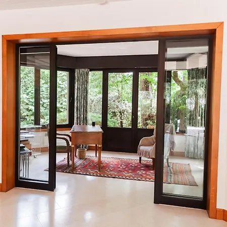 Villa Between Pines 8 People Pereire *