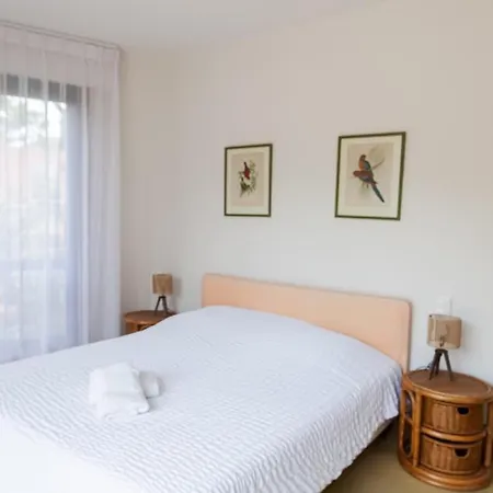 Villa Between Pines 8 People Pereire