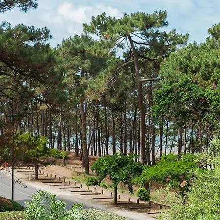 Between Pines 8 People Pereire Вилла *