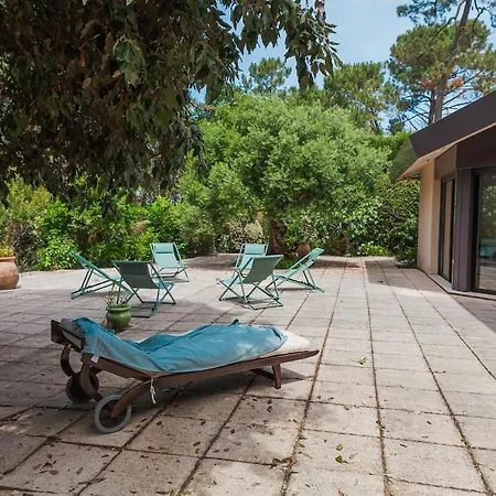 Villa Between Pines 8 People Pereire