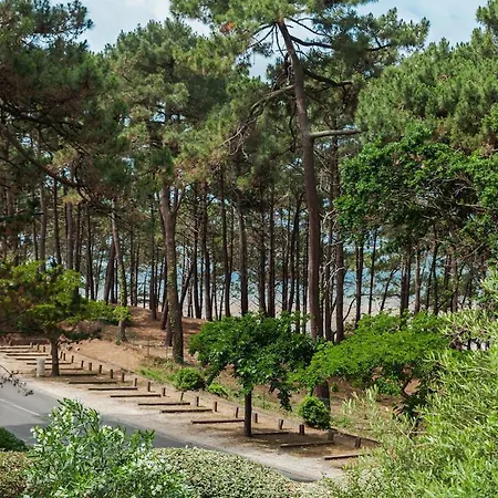 Between Pines 8 People Pereire Villa